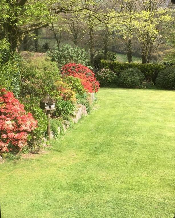 Knole Farm Bed and Breakfast Okehampton Værelse billede